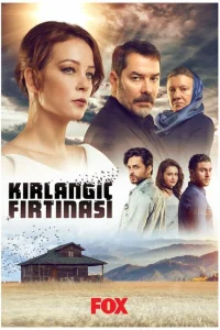 Шторм ласточки турецкий сериал